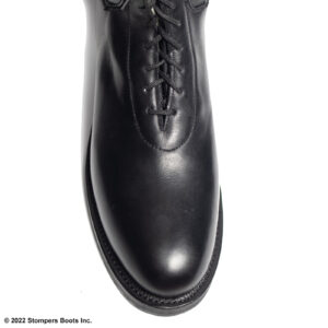 Dehner Bal-Laced Patrol 16 Inch Black Top Toe